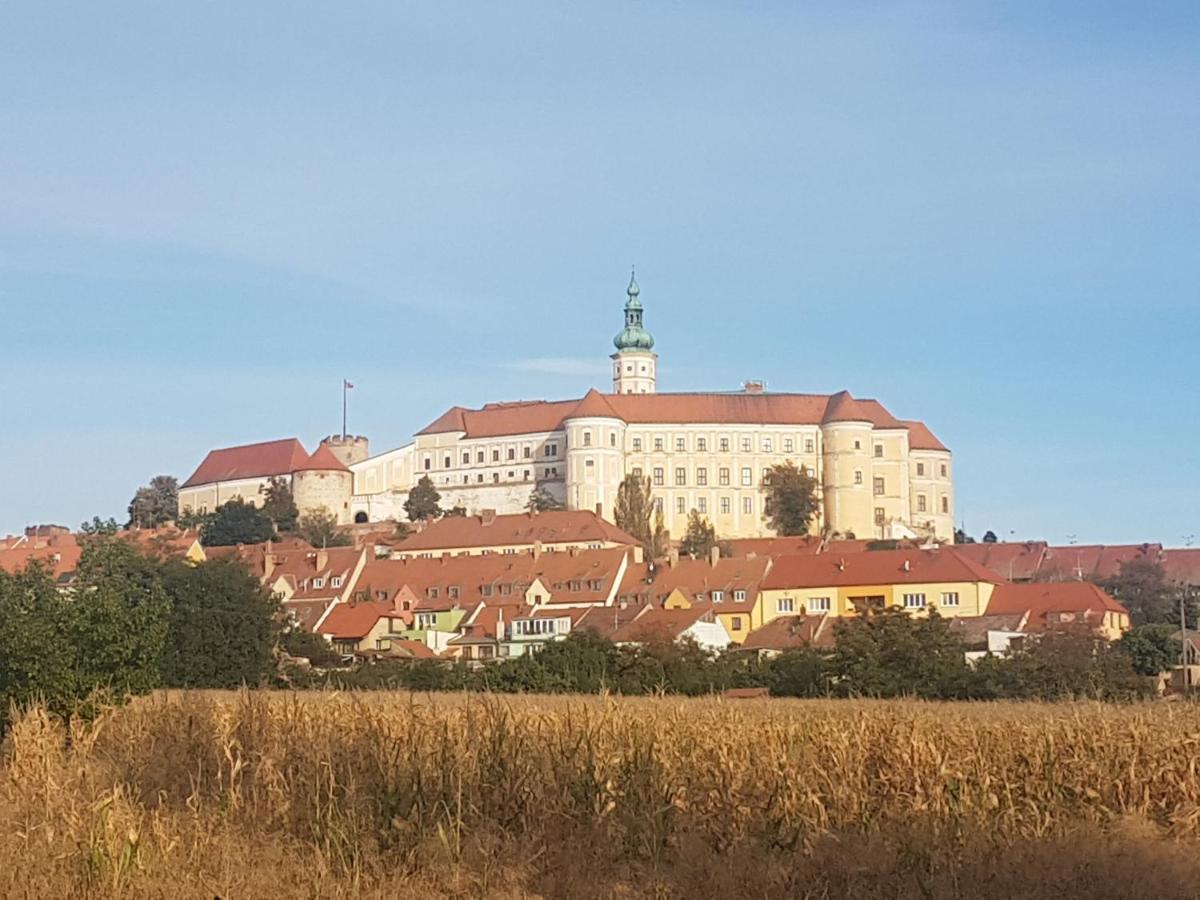 Ubytování U Špačků Pálava Novosedly  Exterior foto
