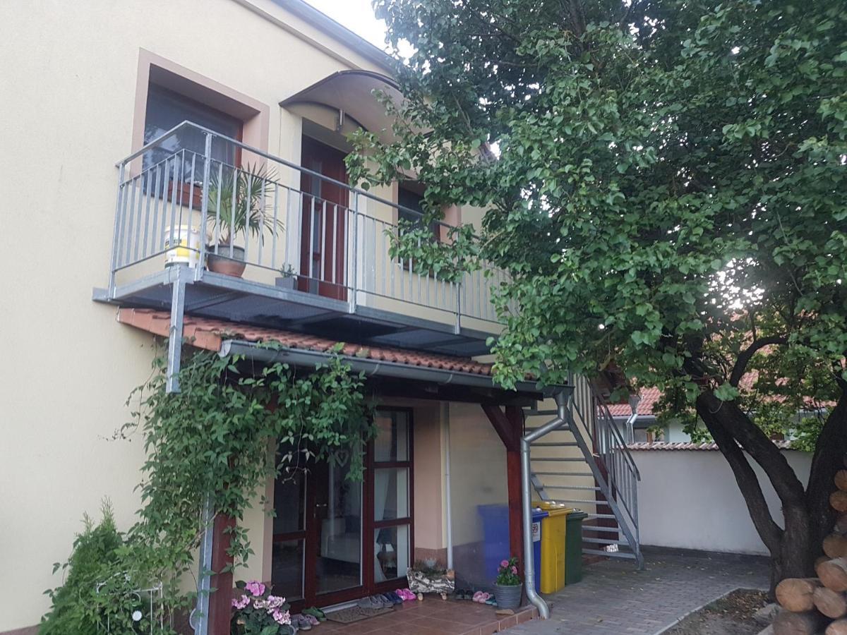 Ubytování U Špačků Pálava Novosedly  Exterior foto