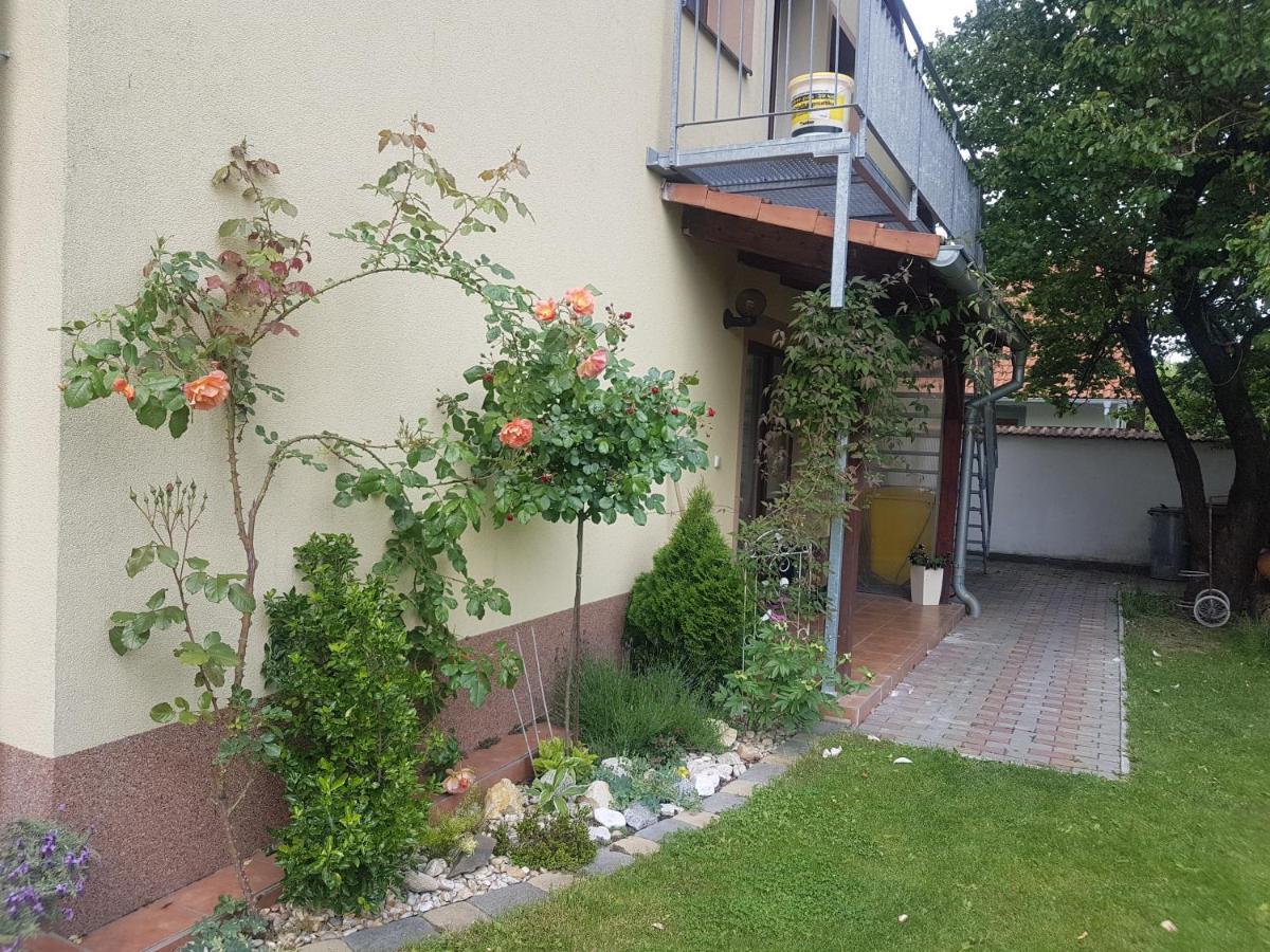 Ubytování U Špačků Pálava Novosedly  Exterior foto