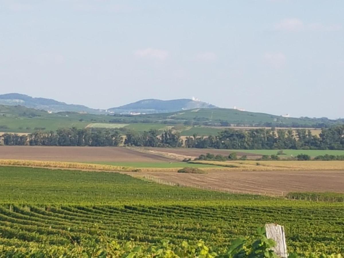Ubytování U Špačků Pálava Novosedly  Exterior foto