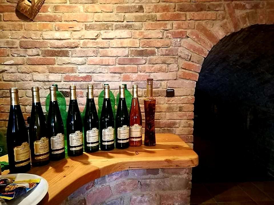 Ubytování U Špačků Pálava Novosedly  Exterior foto