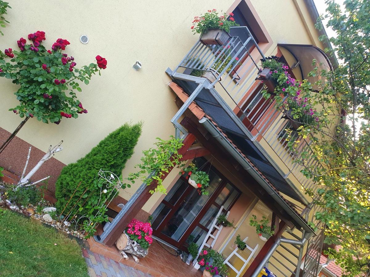 Ubytování U Špačků Pálava Novosedly  Exterior foto